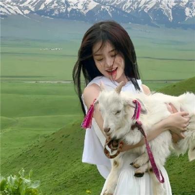 哈啰,我叫朵莉丝